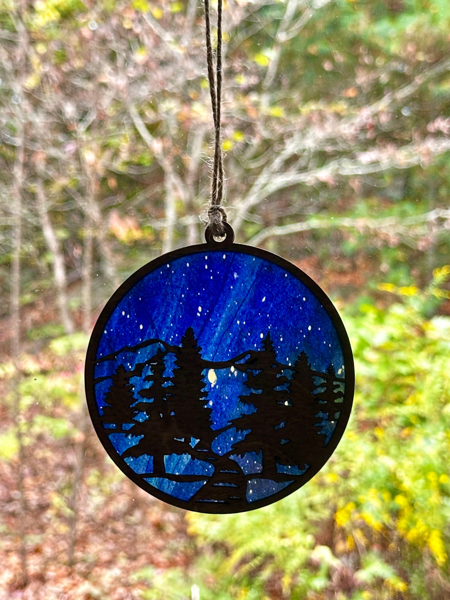 Northern Lights Forest Path